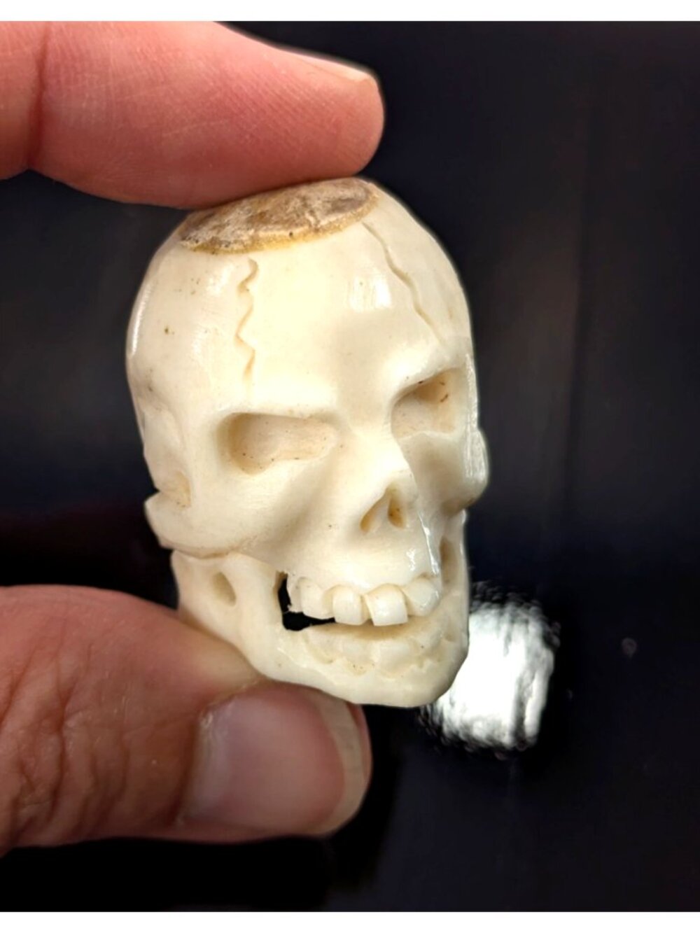 Vintage Memento Mori Deer Antler Carved Skull pendant, human skull bead